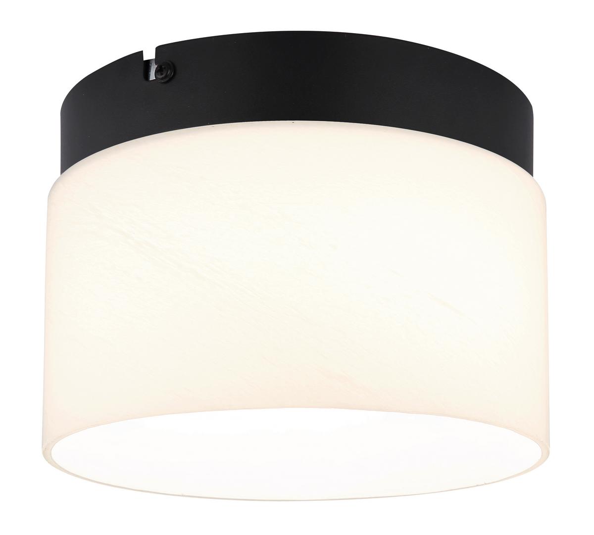 LED-DECKENLEUCHTE 16052D TRENTON - Weiss/Schwarz, Design, Glas/Metall (20/14cm) - Globo