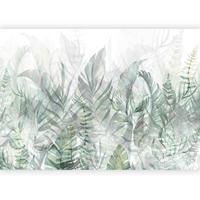 Fototapeta Magic Grove, 250x175cm - siva/metino zelena, Trendi, tekstil (250/175cm) - artgeist