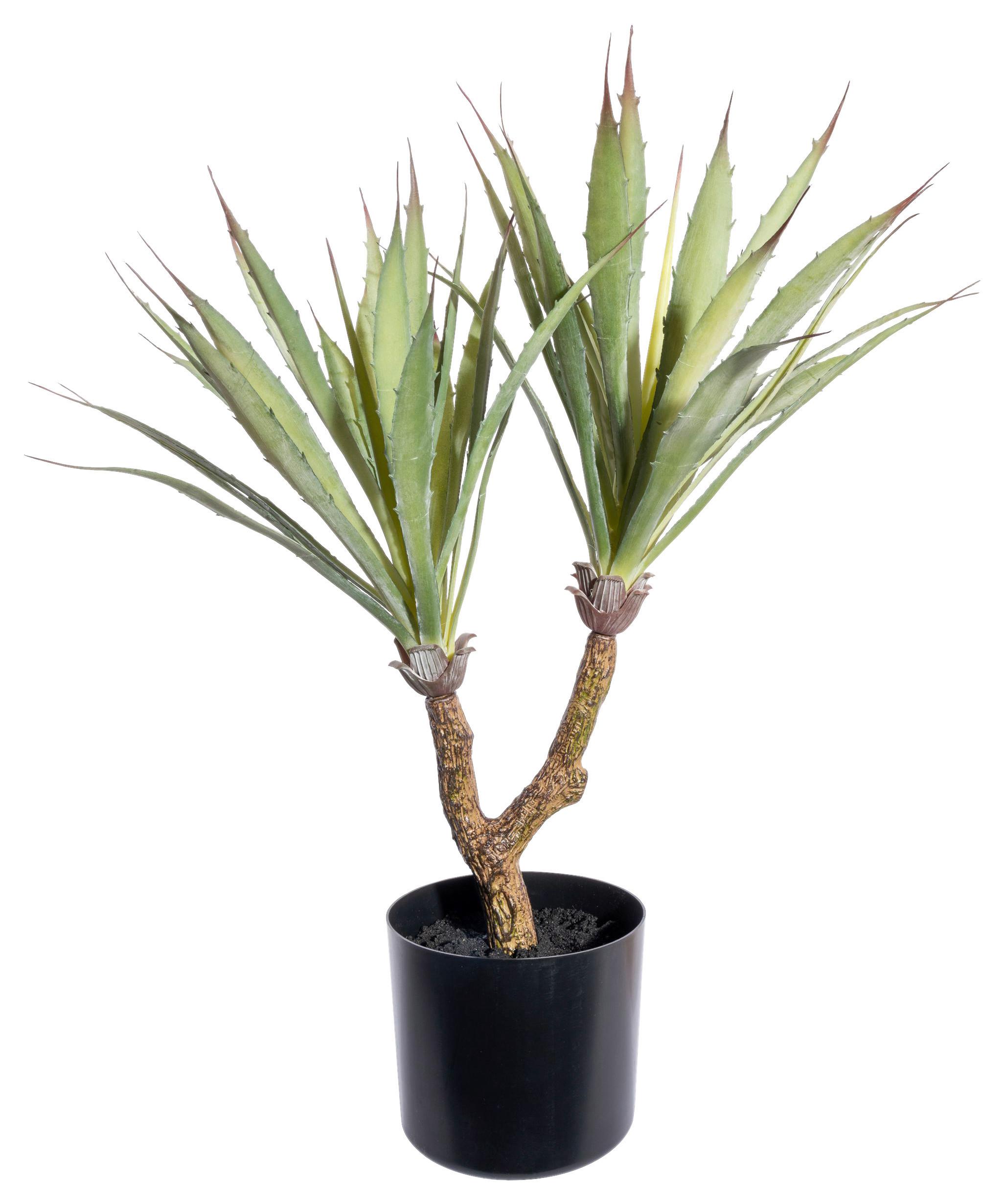 Kunstpflanze Sukkuleten Grün/Schwarz - Schwarz/Braun, Design, Kunststoff (60cm)