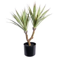 Kunstpflanze Sukkuleten Grün/Schwarz - Schwarz/Braun, Design, Kunststoff (60cm)