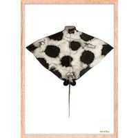 BILD STL-DE-ROUW-006-50X70-FRX-FRBL - Hellbraun/Weiss, Basics, Holz/Kunststoff (50/70/10cm)