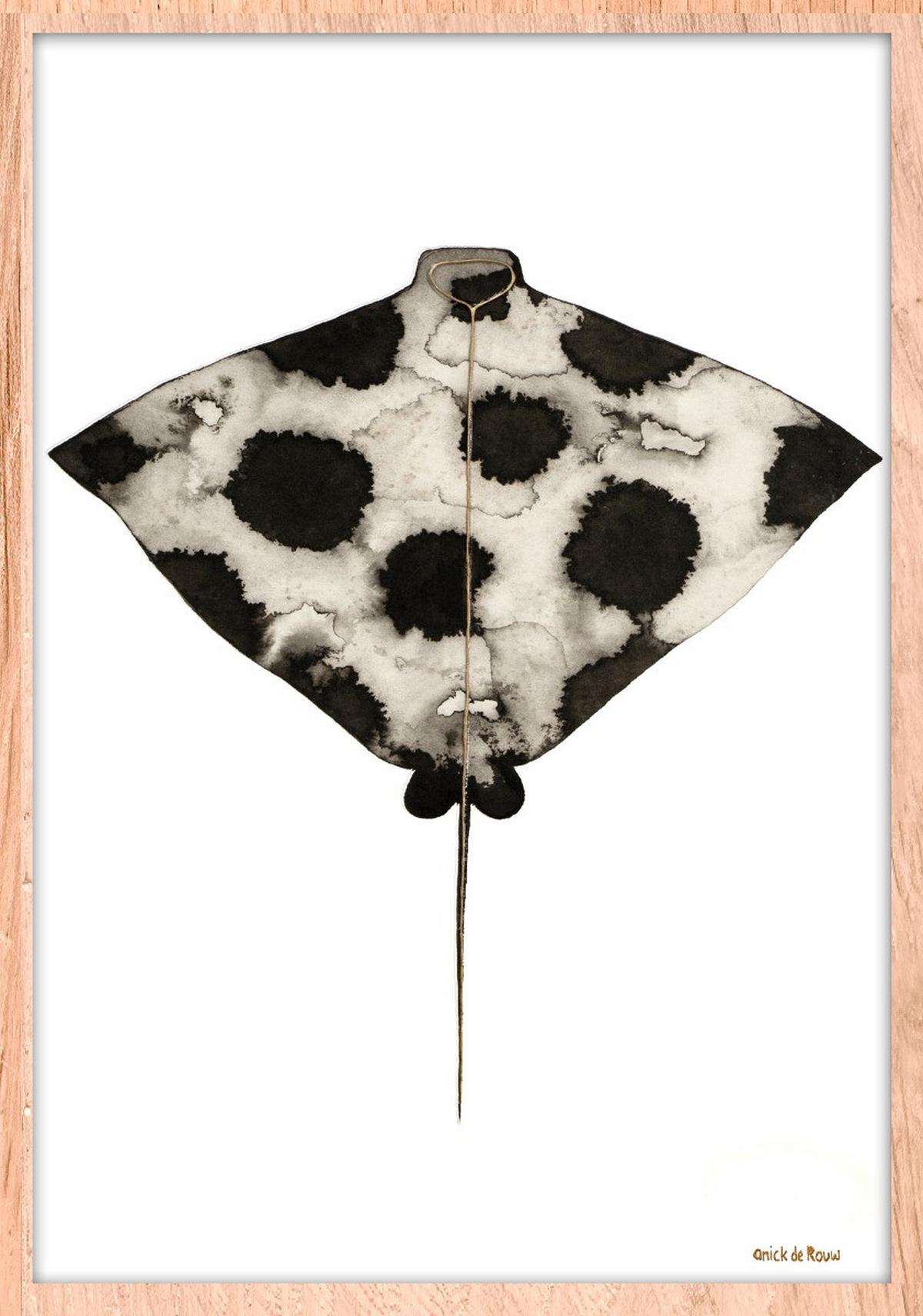 BILD STL-DE-ROUW-006-50X70-FRX-FRBL - Hellbraun/Weiss, Basics, Holz/Kunststoff (50/70/10cm)