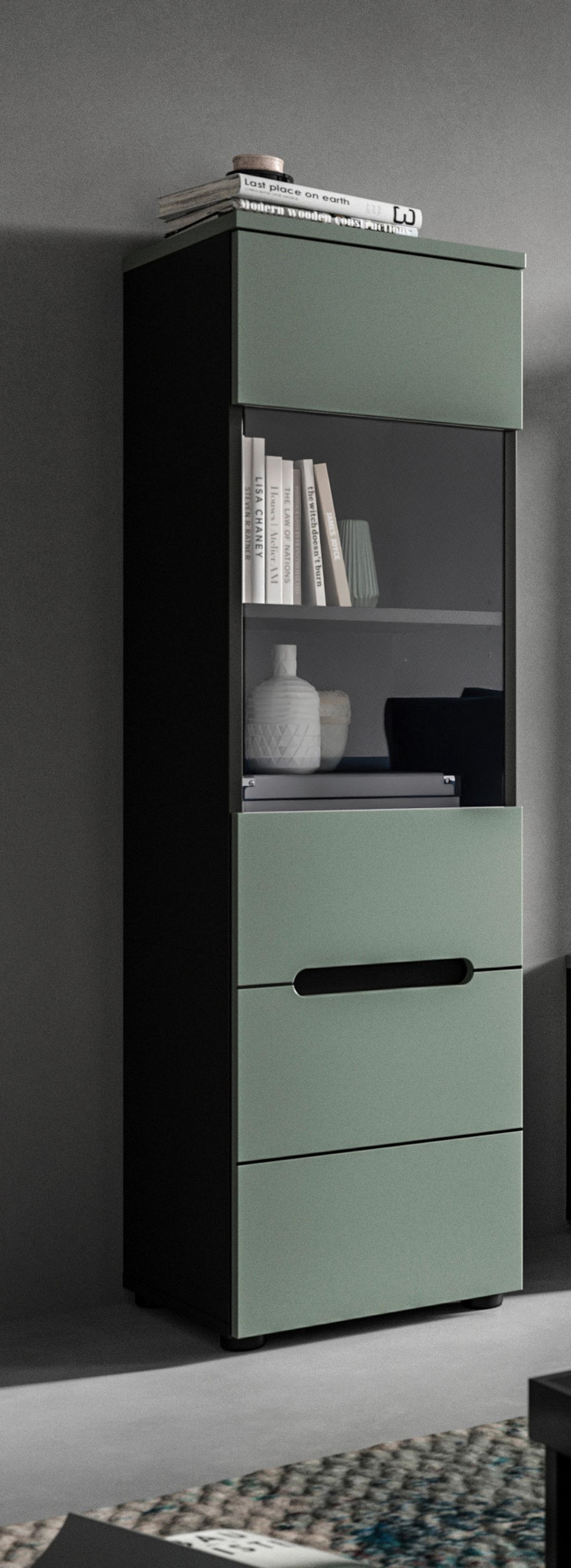 Vitrina Canu, Sivozelena - črna, Design, umetna masa/leseni material (36/125/33cm) - Livetastic