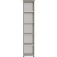 Regal in Kaschmir/Nussbaumfarben - Kaschmir/Nussbaumfarben, KONVENTIONELL, Holzwerkstoff/Kunststoff (41/197/40cm) - Mömax modern living Regal in Kaschmir/Nussbaumfarben - Kaschmir/Nussbaumfarben, KONVENTIONELL, Holzwerkstoff/Kunststoff (41/197/40cm) - Mömax modern living