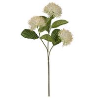 Dekozweig Ixorazweig I Weiß/Grün - Weiß/Grün, KONVENTIONELL, Kunststoff (87cm) - Mömax