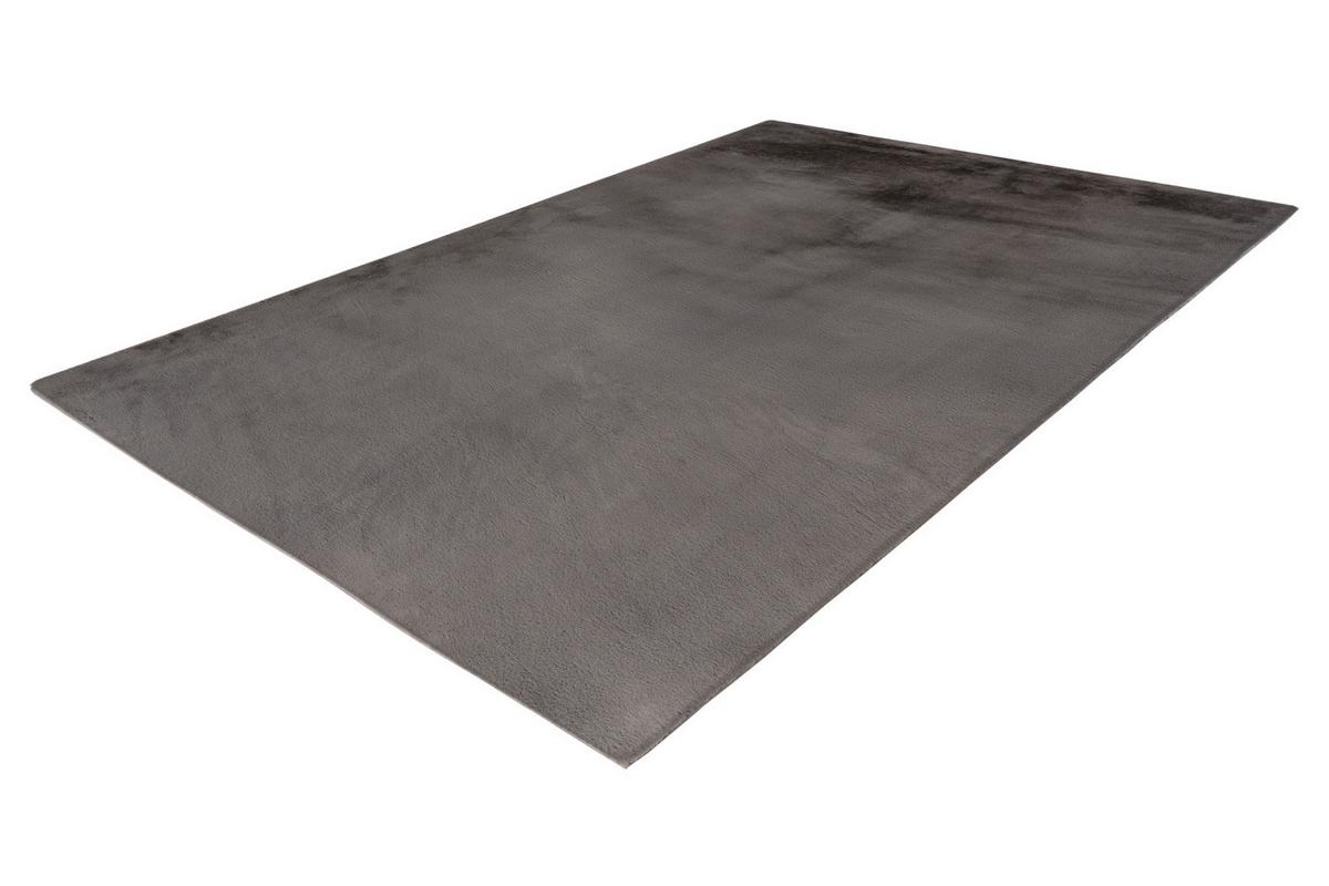 Fellteppich My Monaco 225 - Silberfarben, Design, Textil (200/290cm)