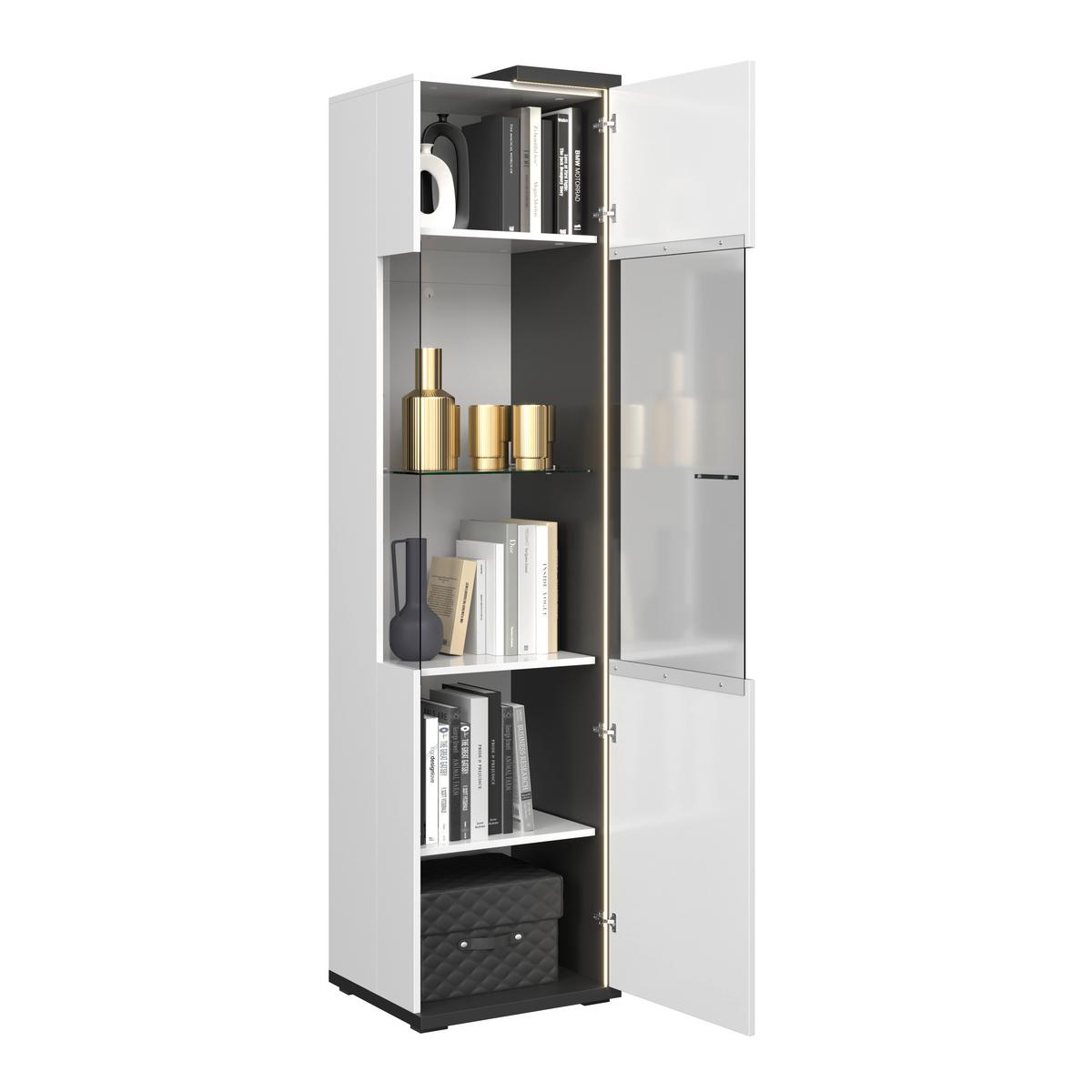 Vitrina Ambiente Plus - bijela/bijela visoki sjaj, Moderno, staklo/drvni materijal (48,5/199,1/43,6cm) - Modern Living