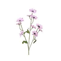 Biljka Umjetna Lar - ružičasta/zelena, Basics, plastika (5/12/55cm)