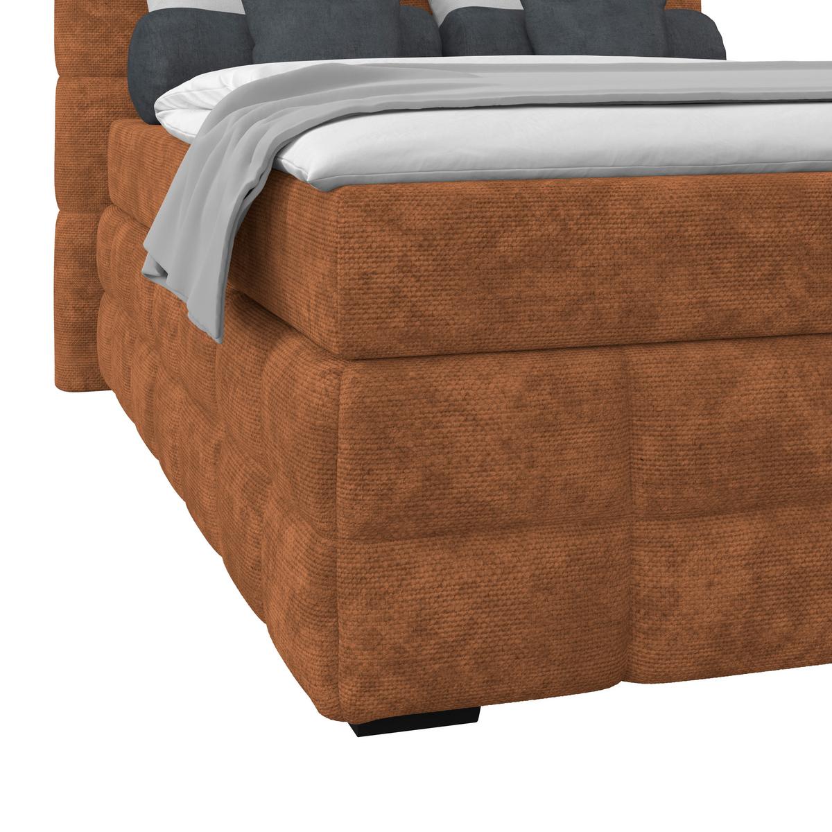 Box Krevet Vega - boje hrđe/bijela, Trend, tekstil/drvo (120/200cm) - Modern Living