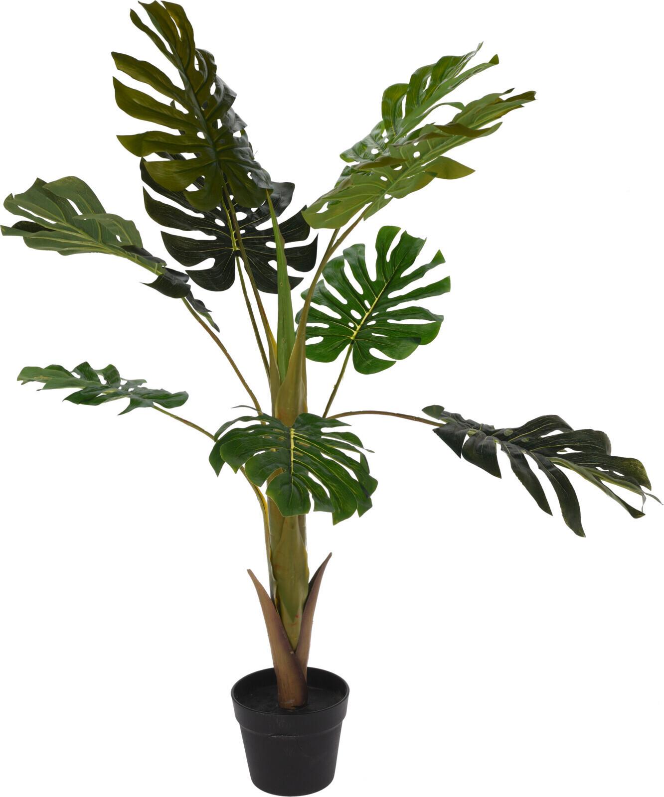 Műnövény Monstera - fekete/zöld, műanyag (110cm)