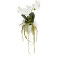 Plantă Artificială Phalaenopsis Ii - alb/verde, Basics, ceramică/plastic (25cm) Plantă Artificială Phalaenopsis Ii - alb/verde, Basics, ceramică/plastic (25cm)