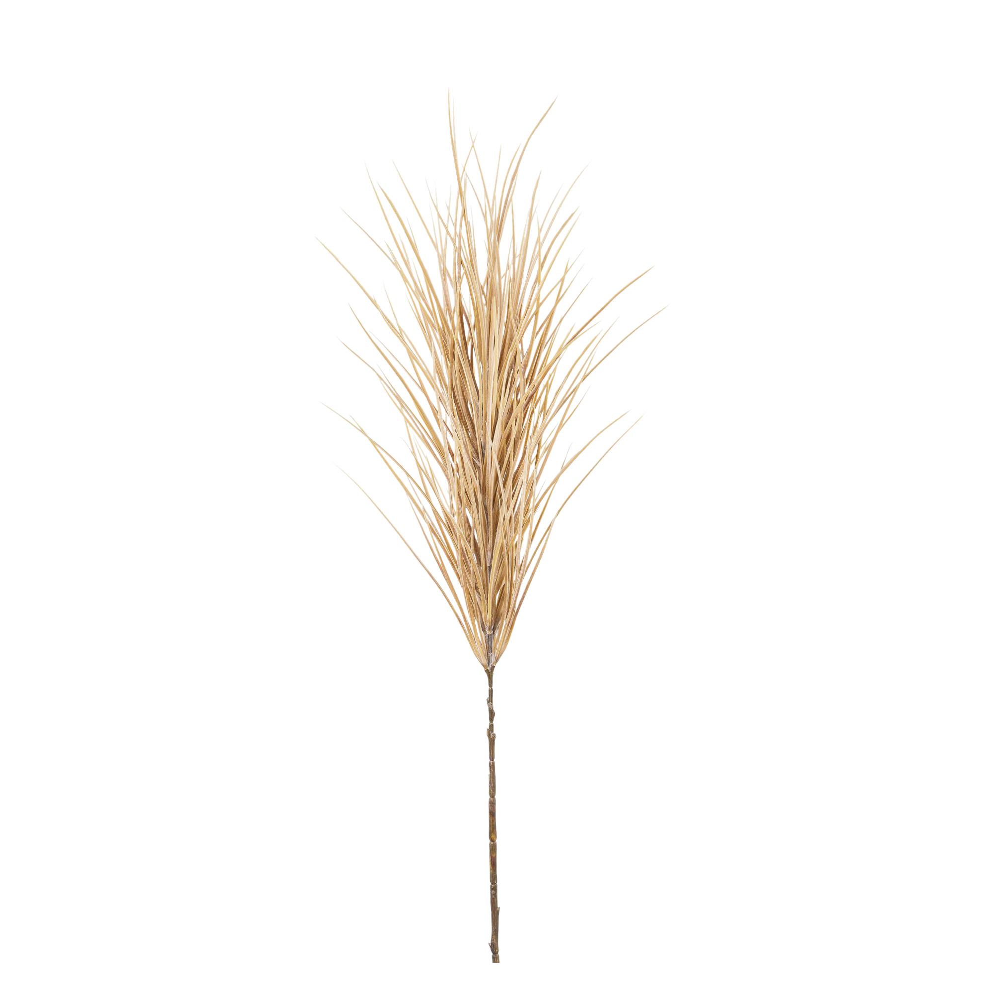 Künstliches Pampasgras Rosé – Trockenblumen-Deko-Zweig Ca. 105 Cm, Naturgetreu & Biegsam