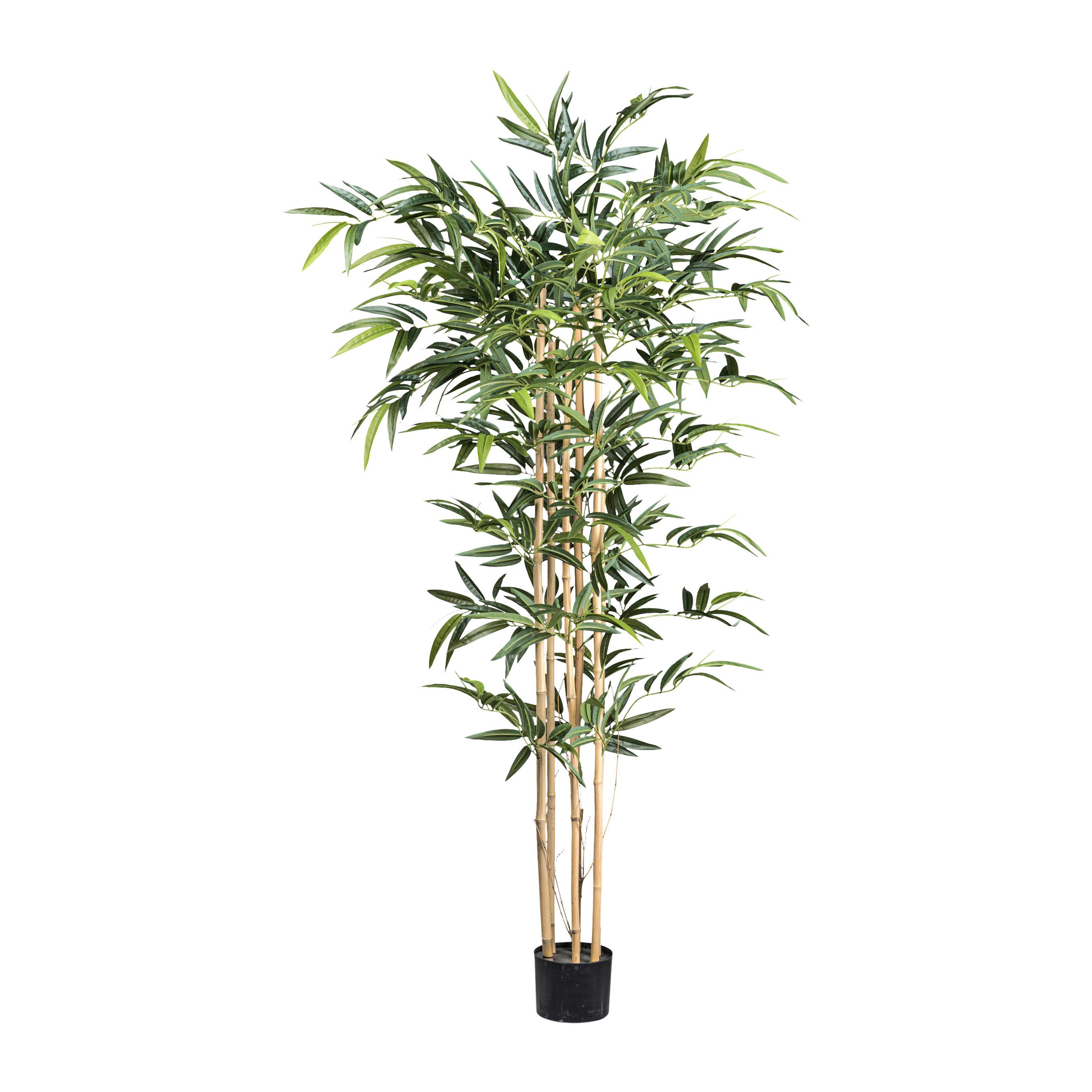 Umetna Rastlina Bambus Ii - črna/zelena, Romantika, umetna masa (150cm) - Modern Living