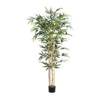 Umetna Rastlina Bambus Ii - črna/zelena, Romantika, umetna masa (150cm) - Modern Living