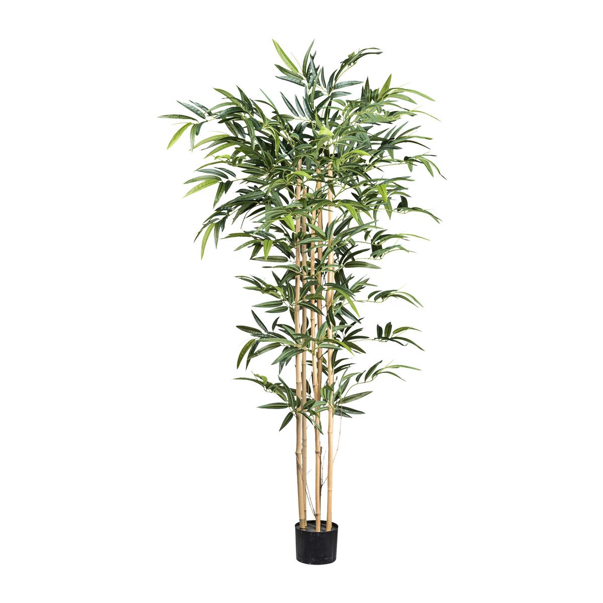 Umetna Rastlina Bambus Ii - črna/zelena, Romantika, umetna masa (150cm) - Modern Living