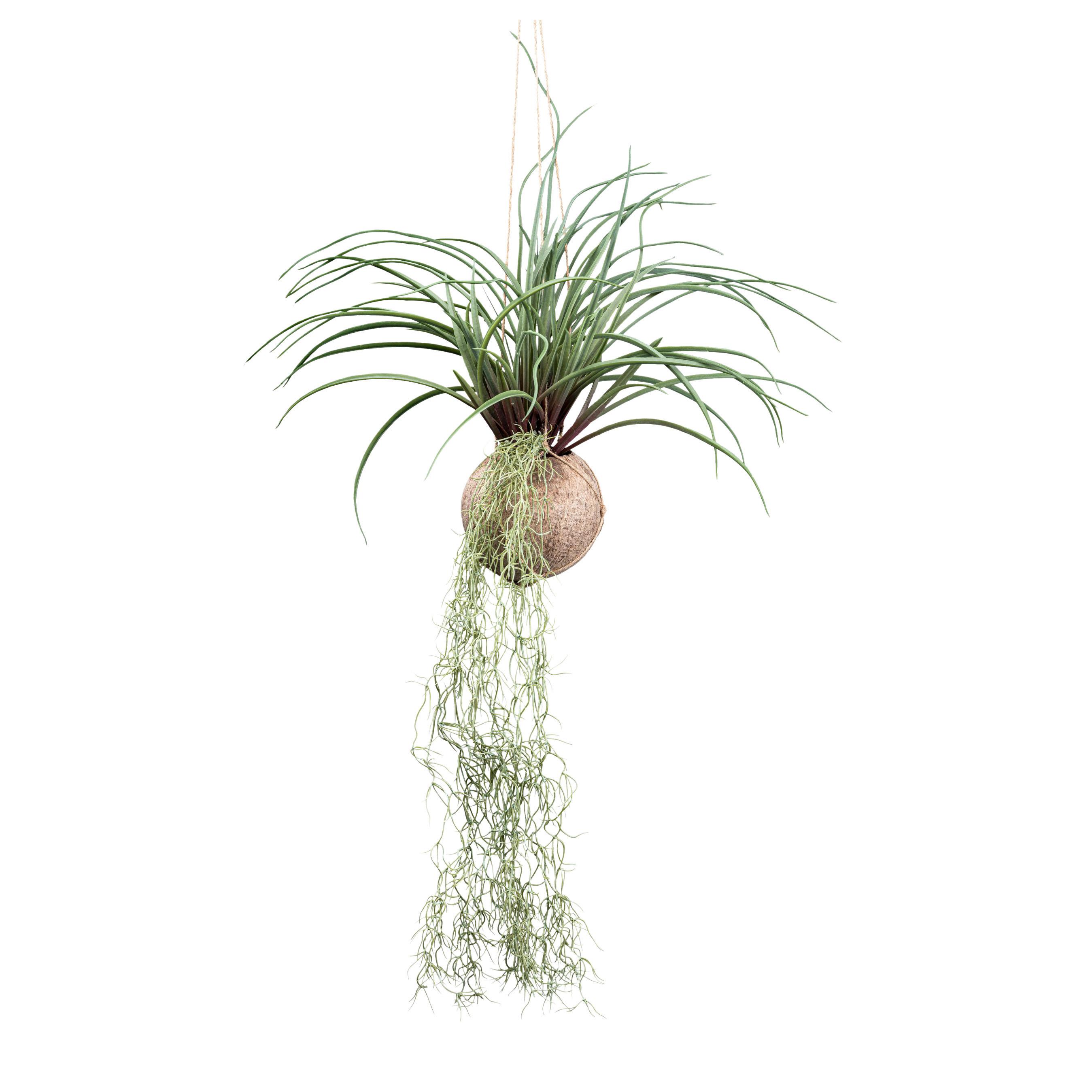 Kunstpflanze Sukkulenten Grün - Grün, Design, Naturmaterialien/Kunststoff (72cm)