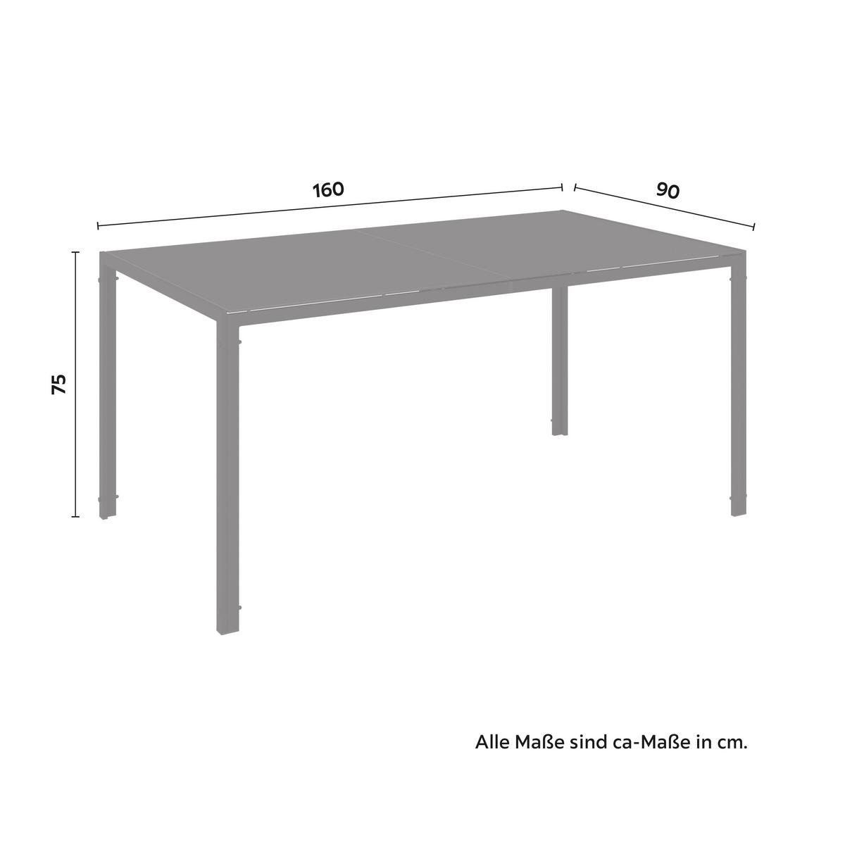 Set grădină Tanja - gri închis/gri, Basics, sticlă/metal - Mömax