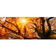 Glasbild Glorious, 50x125x2cm - Multicolor, MODERN, Glas (50/125/2cm) - Mömax modern living