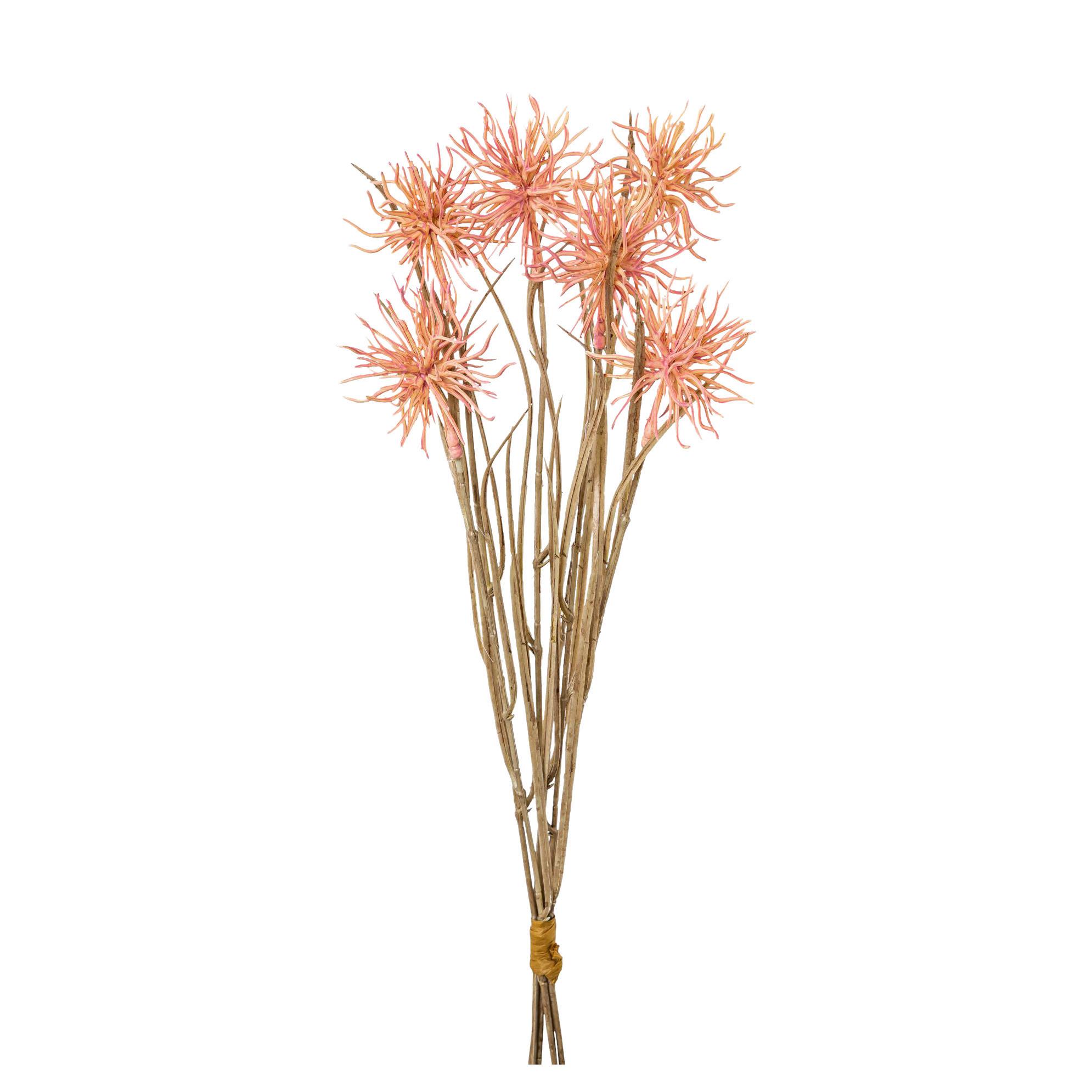 Umjetna Biljka Urchinzweig I - prirodne boje/prljavo ružičasta, Natur, plastika (43cm) - Modern Living