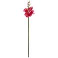 Kunstblume Freesie I Pink - Pink/Grün, Basics, Kunststoff (50cm) Kunstblume Freesie I Pink - Pink/Grün, Basics, Kunststoff (50cm)