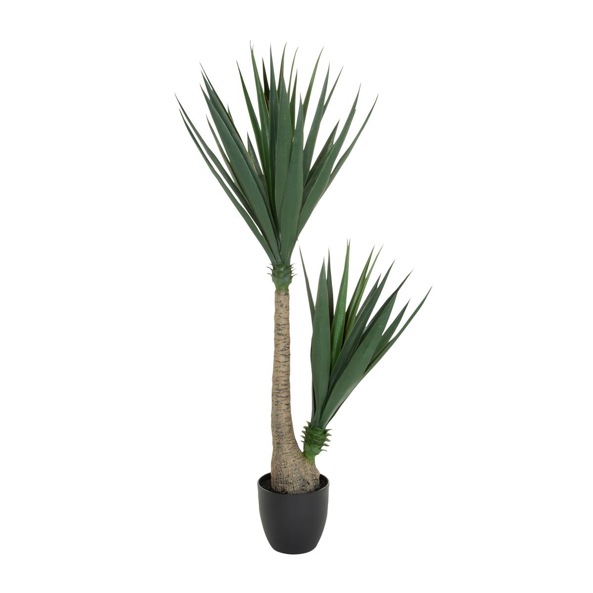Umetna Rastlina Yucca - črna/zelena, Basics, umetna masa (50/135/50cm) - MID.YOU