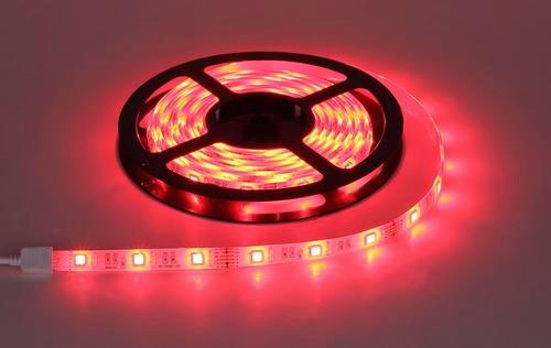 Led Traka Eduard L: 670 Cm - Basics, plastika (500cm) - Globo