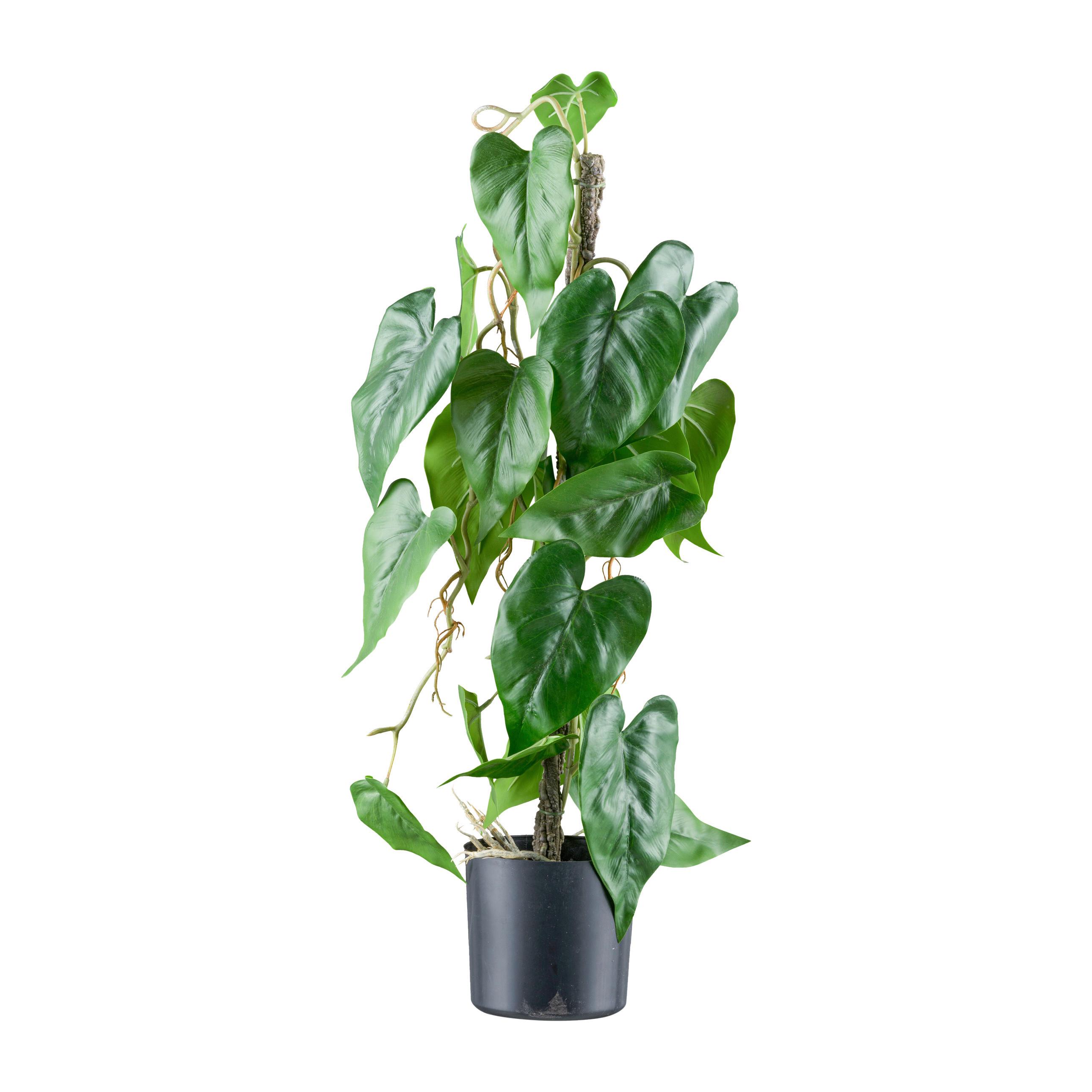 Kunstpflanze Grünpflanzen Grün/Schwarz - Schwarz/Braun, Design, Kunststoff (66cm)