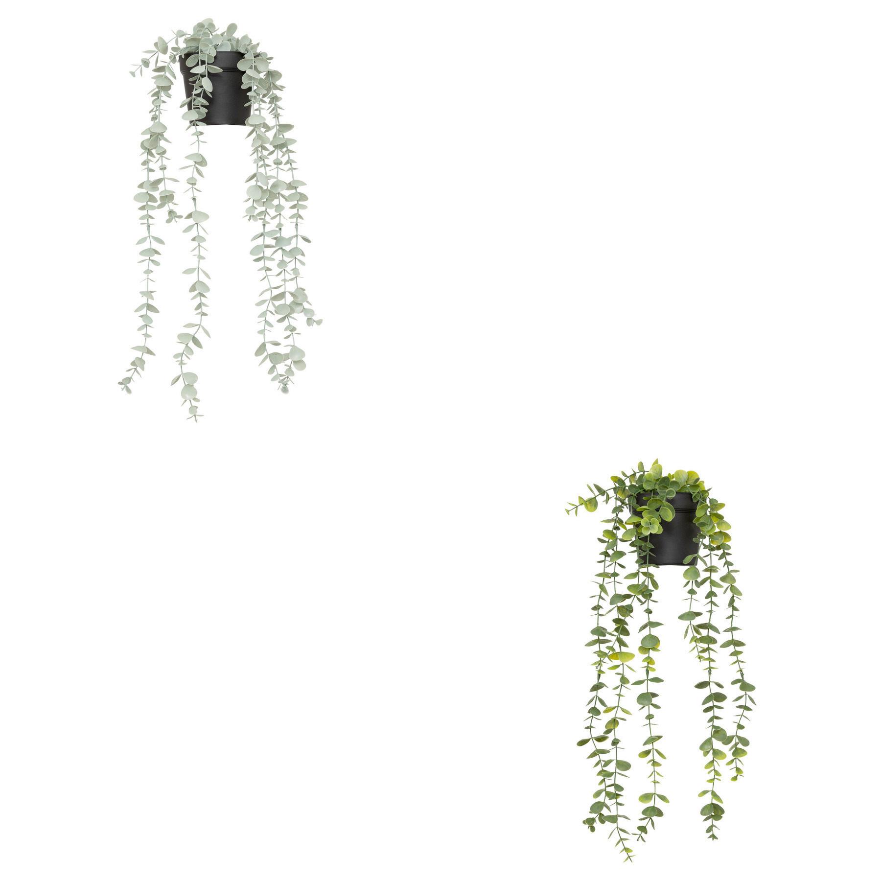 Kunstpflanze Eukalyptus diverse - Salbeigrün/Schwarz, Basics, Kunststoff (18/51/13cm) - Mömax