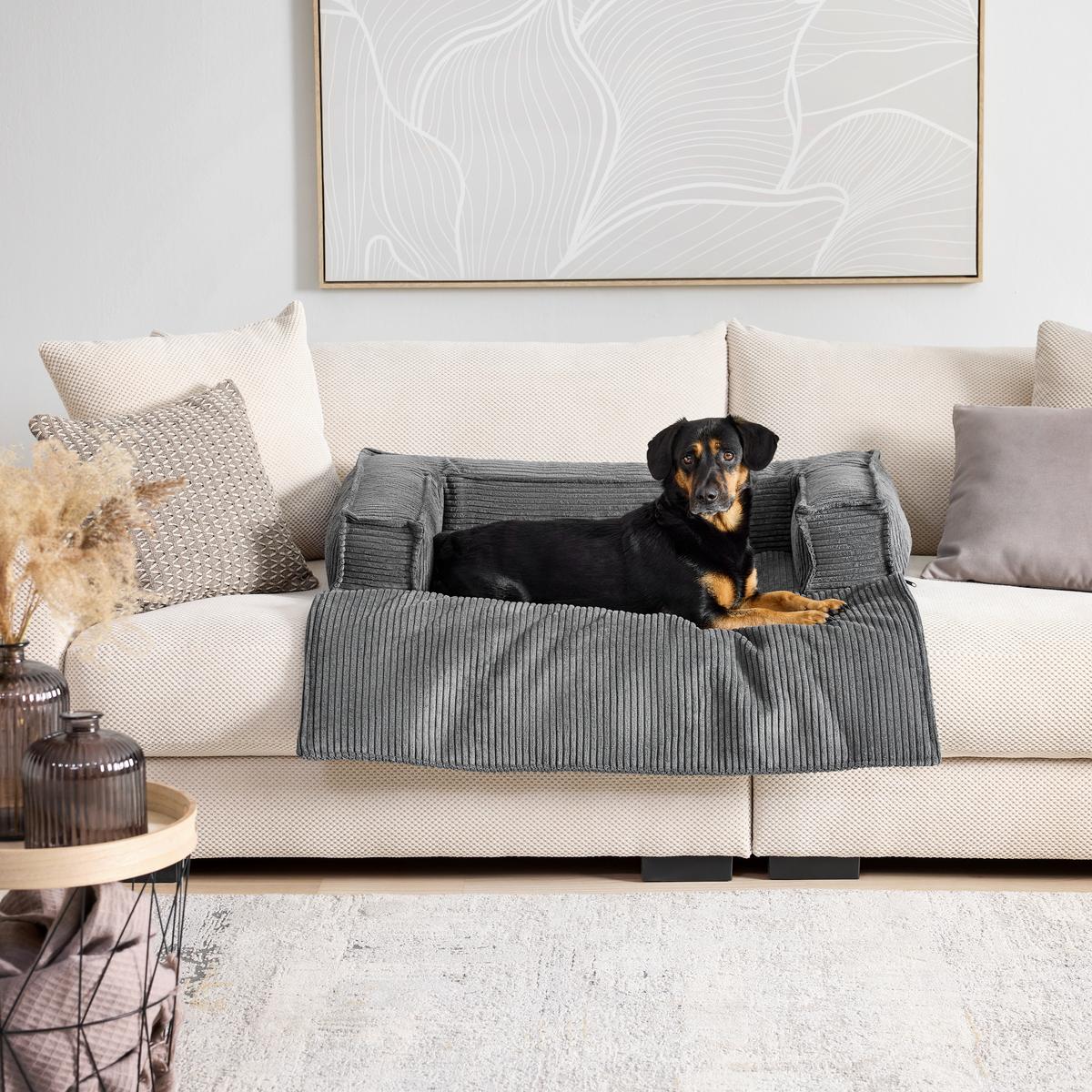 Hundesofa Pet Flat Dunkelgrau - Dunkelgrau, KONVENTIONELL, Textil (105/20/105cm) - Mömax