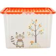 Box mit Deckel Andi aus Kunststoff - Türkis/Transparent, Kunststoff (48/36/25,5cm)
