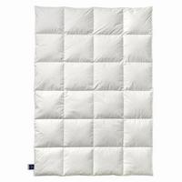 KOŁDRA ZIMOWA NENA KASSETTE 2 - biały, Basics, tkanina (155/220cm) - Billerbeck