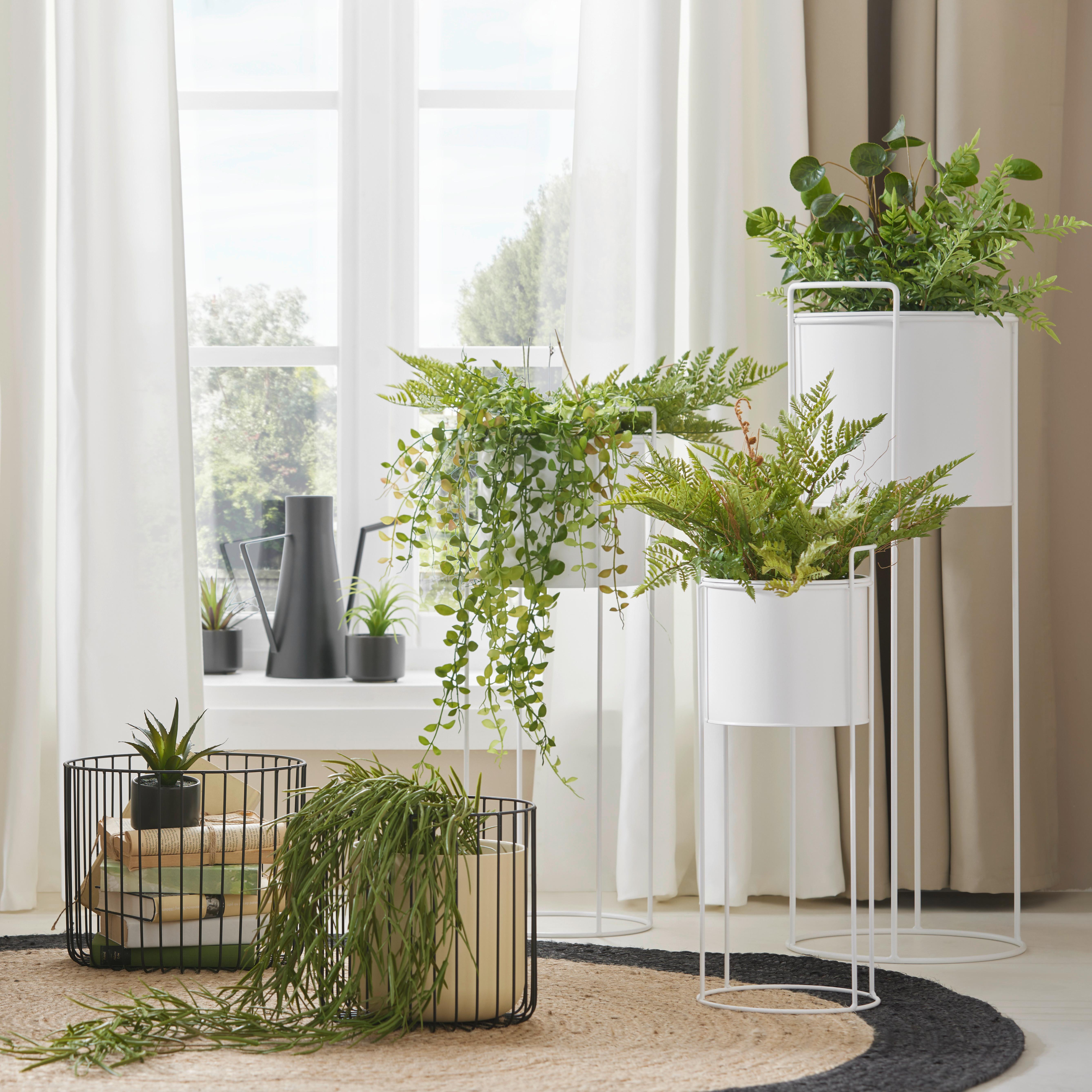 Dekopflanze Farn II in Grün ca. 40 cm - Grün, Basics, Kunststoff (40cm) - Modern Living
