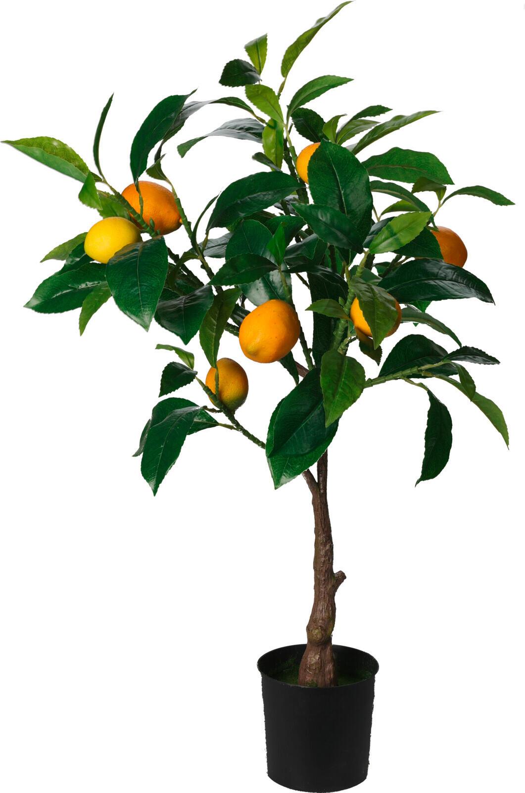 Plantă artificială Lemon Tree - plastic (33/25/70cm)