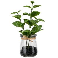 Kunstpflanze Basilikum II Grün/Braun - Klar/Braun, KONVENTIONELL, Glas/Kunststoff (18cm) - Mömax