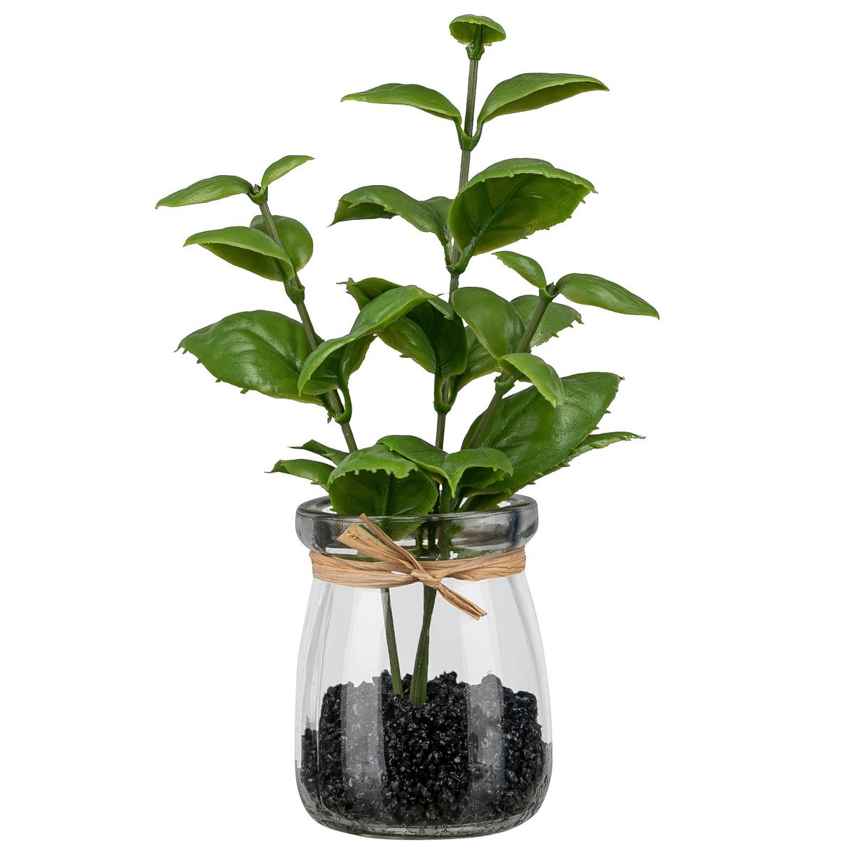 Kunstpflanze Basilikum II Grün/Braun - Klar/Braun, KONVENTIONELL, Glas/Kunststoff (18cm) - Mömax