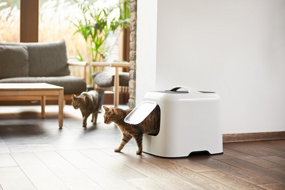 KUWETA DLA KOTA 4005201023WS - biały, Basics, tworzywo sztuczne (51/39,5/44,3cm) - Rotho