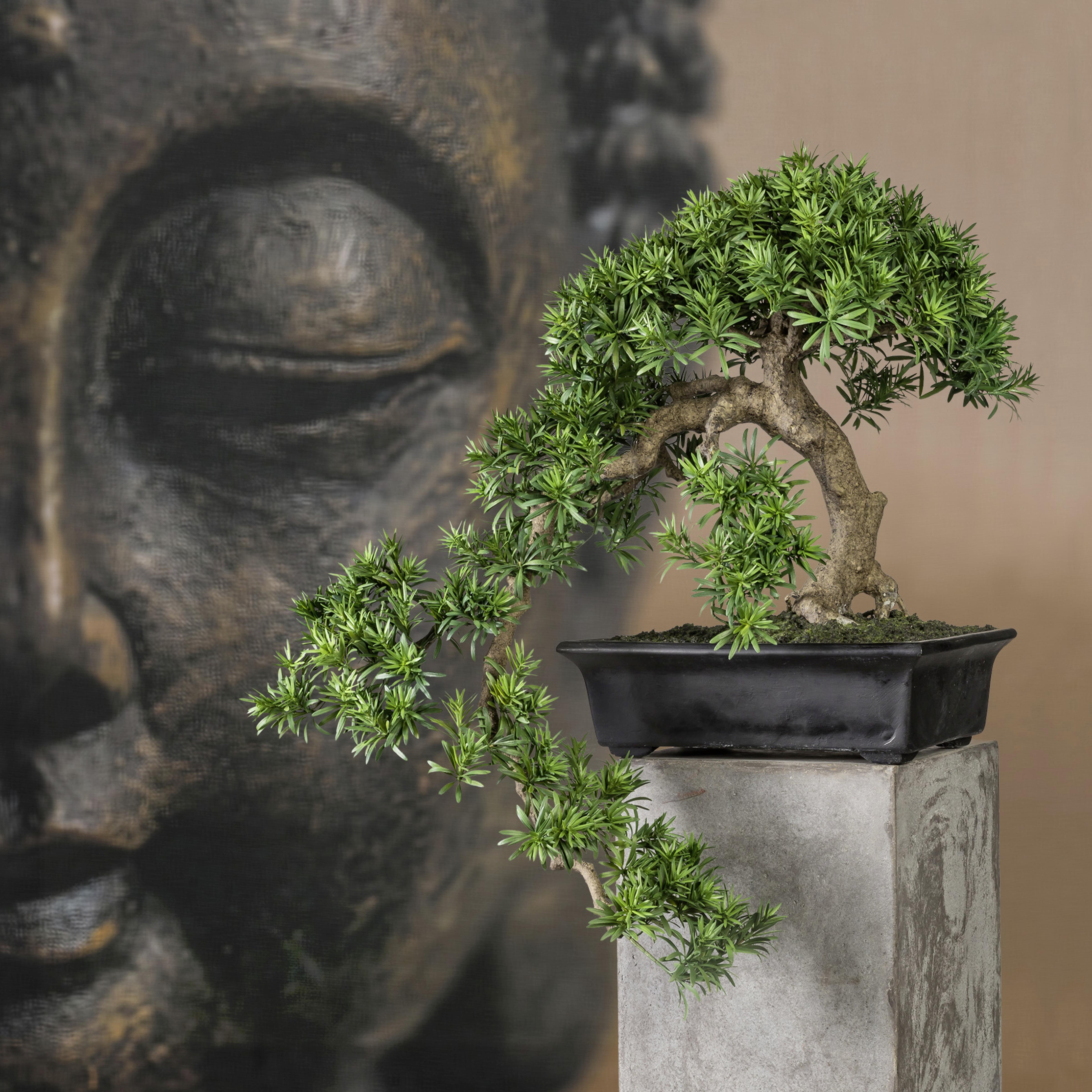 Kunstpflanze Bonsai ca. 90cm - Schwarz/Grün, Kunststoff (70/90cm) - MID.YOU
