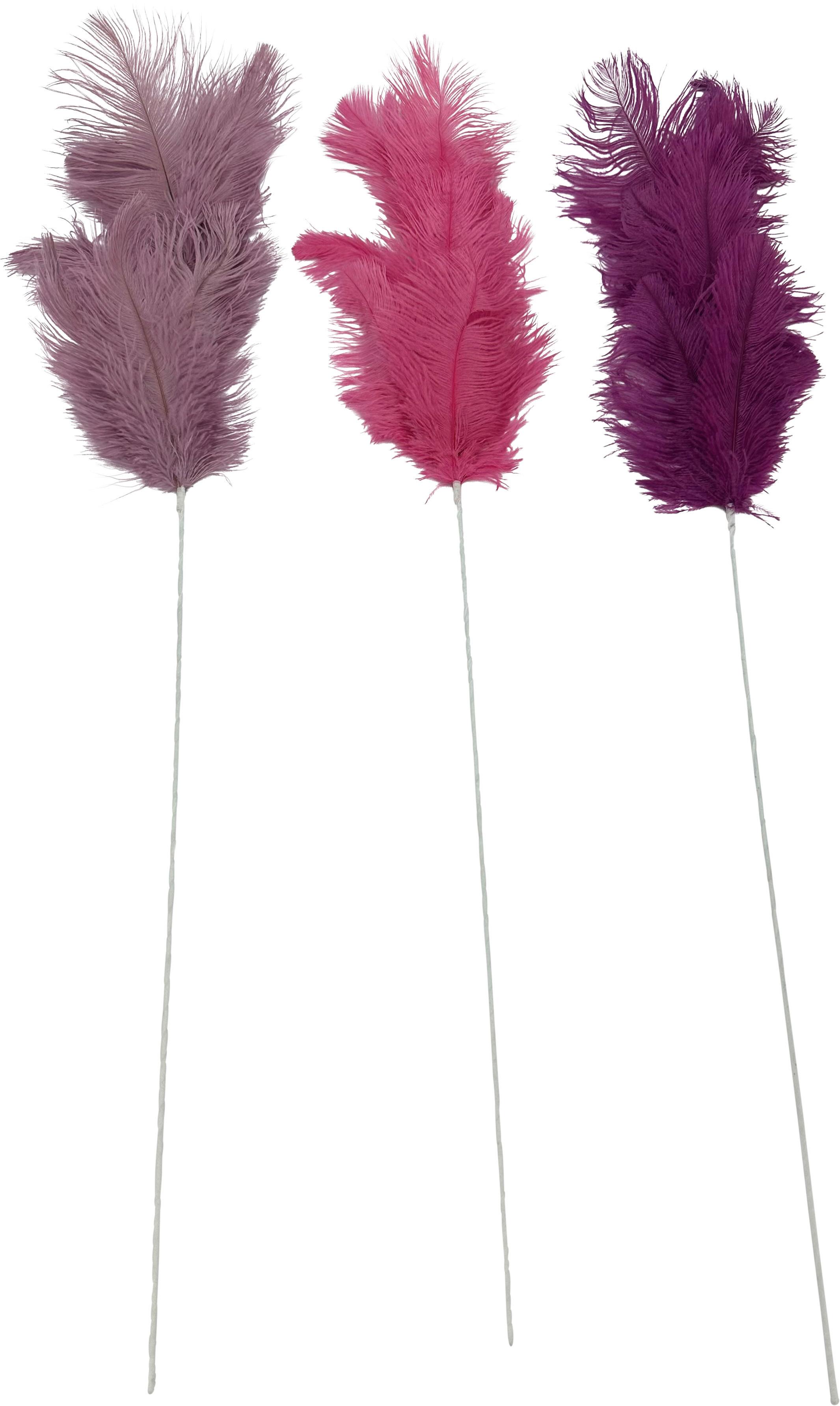 Dekozweig Feather diverse Farben - Pink/Violett, KONVENTIONELL (75cm) - Mömax