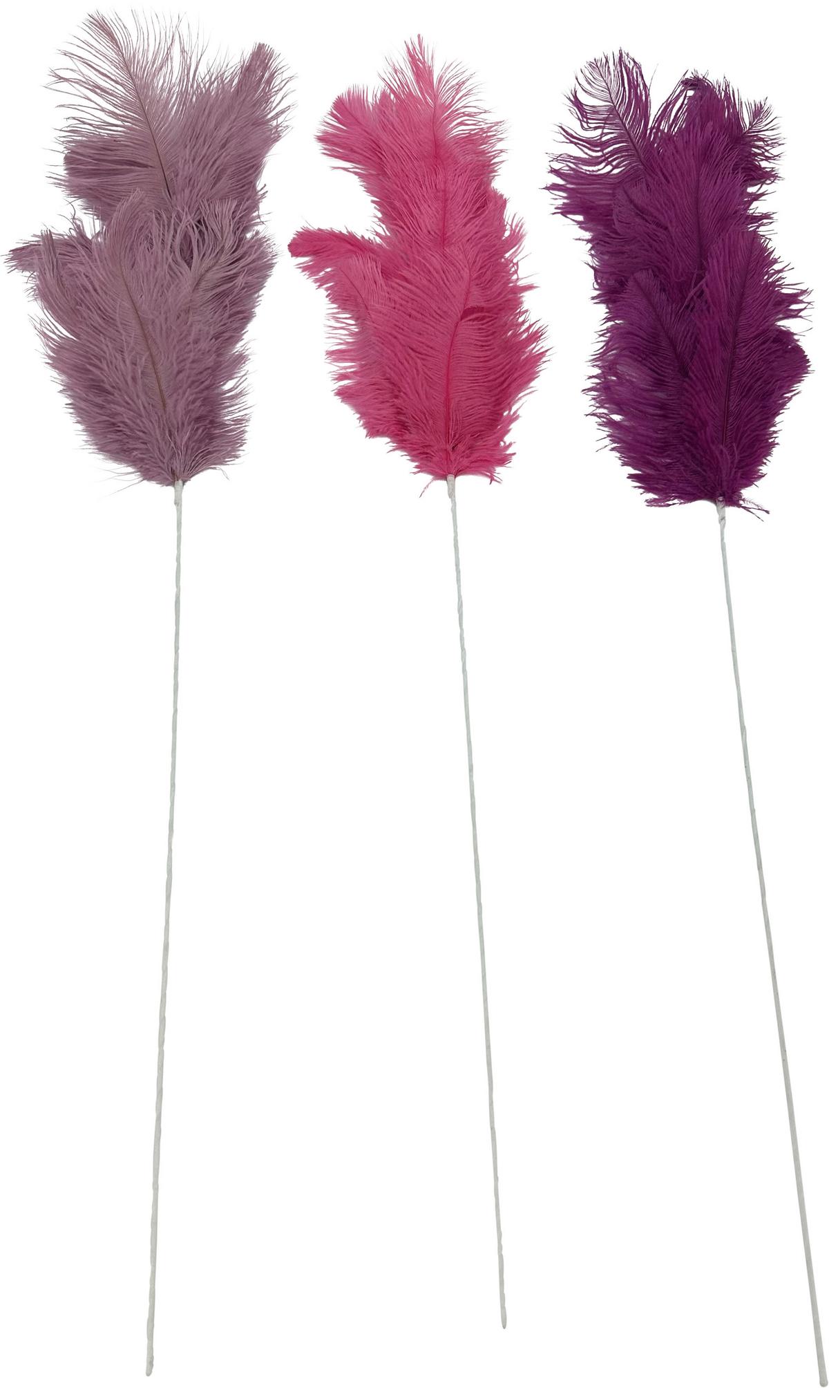 Dekozweig Feather diverse Farben - Pink/Violett, KONVENTIONELL (75cm) - Mömax