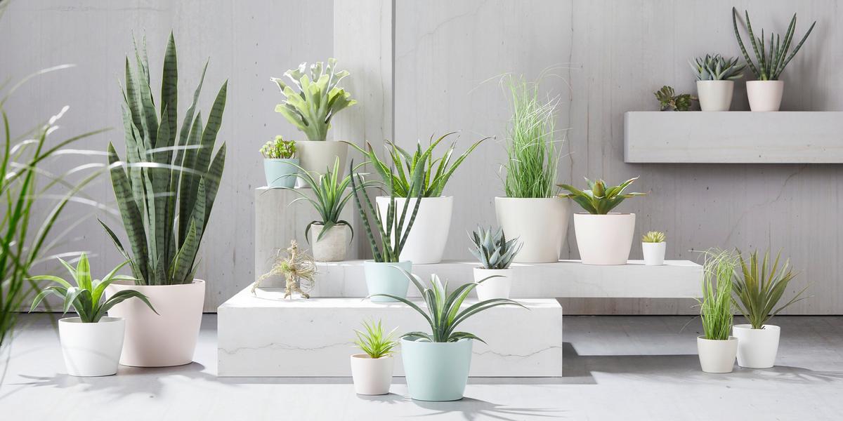 Mască pentru ghiveci LUISA -BASED - alb/negru, Modern, ceramică (12/10cm) - Best Price