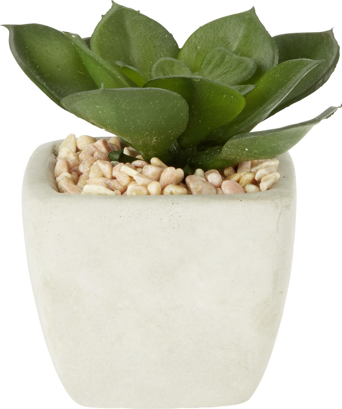 Plantă artificială Sukkulente - verde, Lifestyle, plastic (7-9cm) - Modern Living