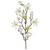 Magnolija Magnolie I -Paz- - bela/rjava, Basics, kovina/umetna masa (83cm) - Mömax