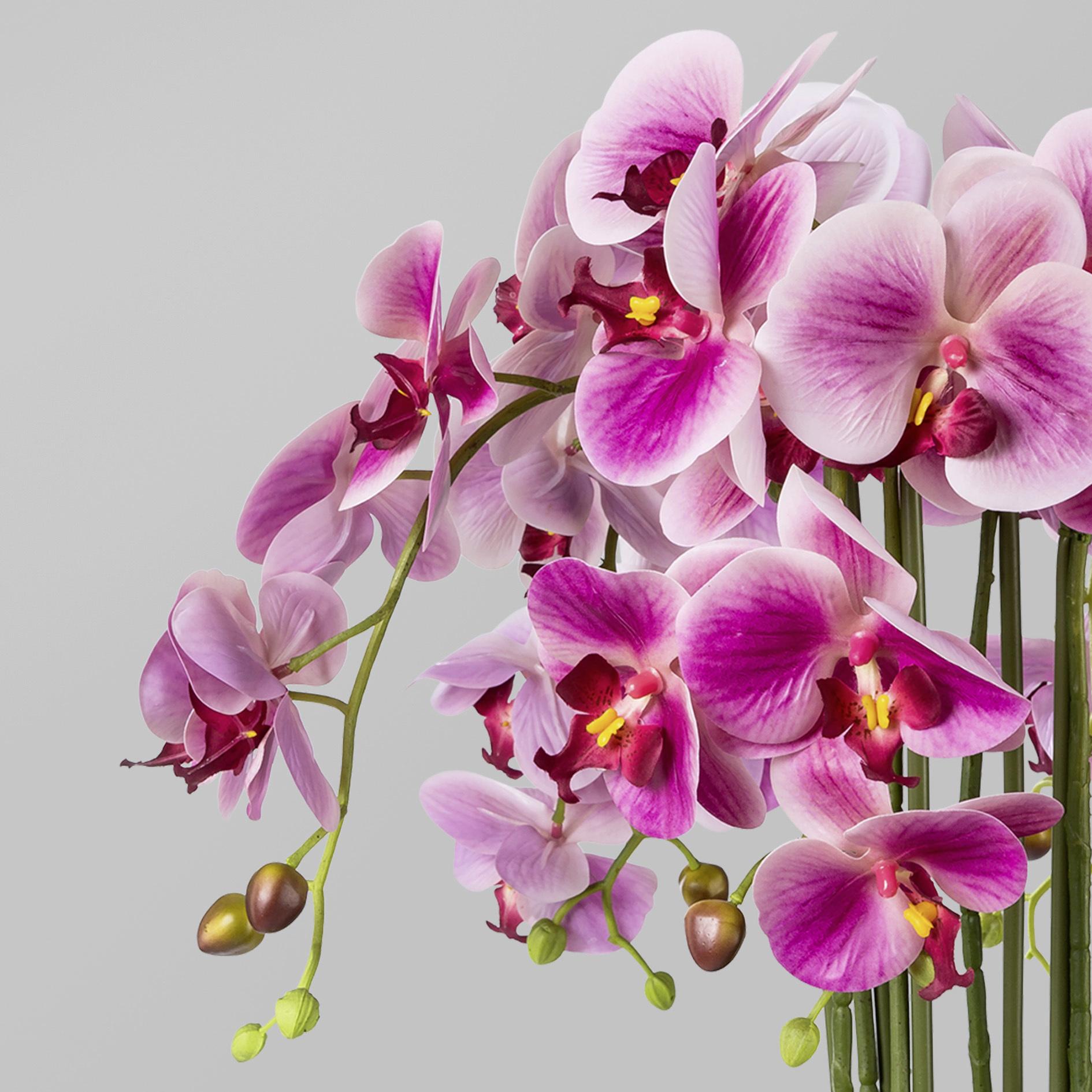 Kunstblume Orchidee ca. 54cm - Magenta/Grün, Trend, Kunststoff (54cm) - MID.YOU