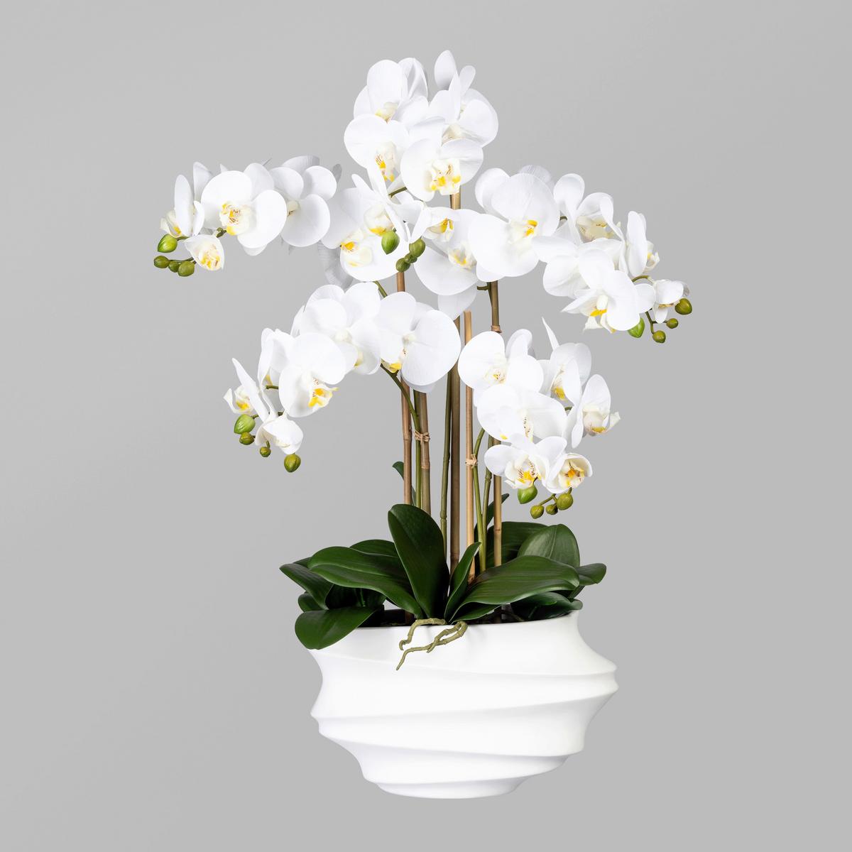 Kunstblume Orchidee, ca. 75cm - Weiß/Braun, Trend, Kunststoff (75cm)
