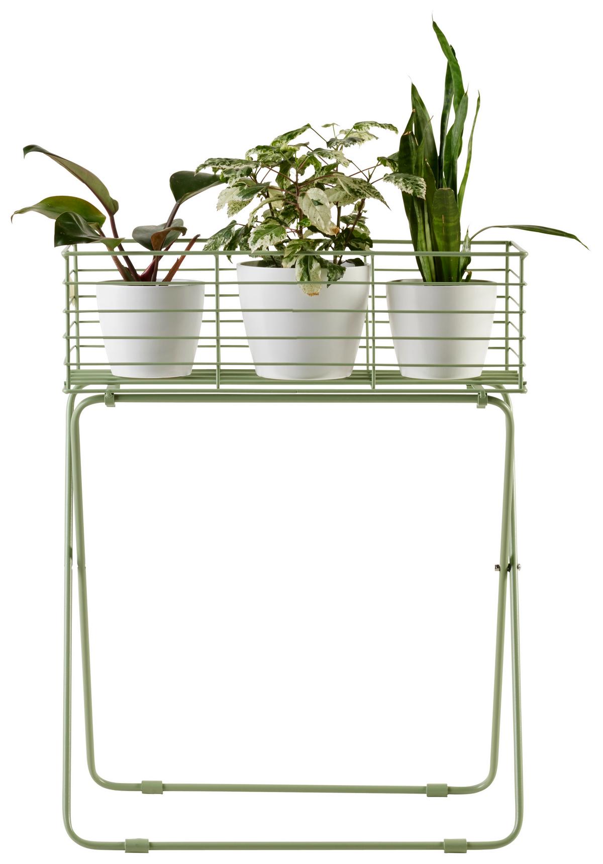 Növénytartó Green Times - pasztellzöld, Basics, fém (50/60/24cm) - Modern Living