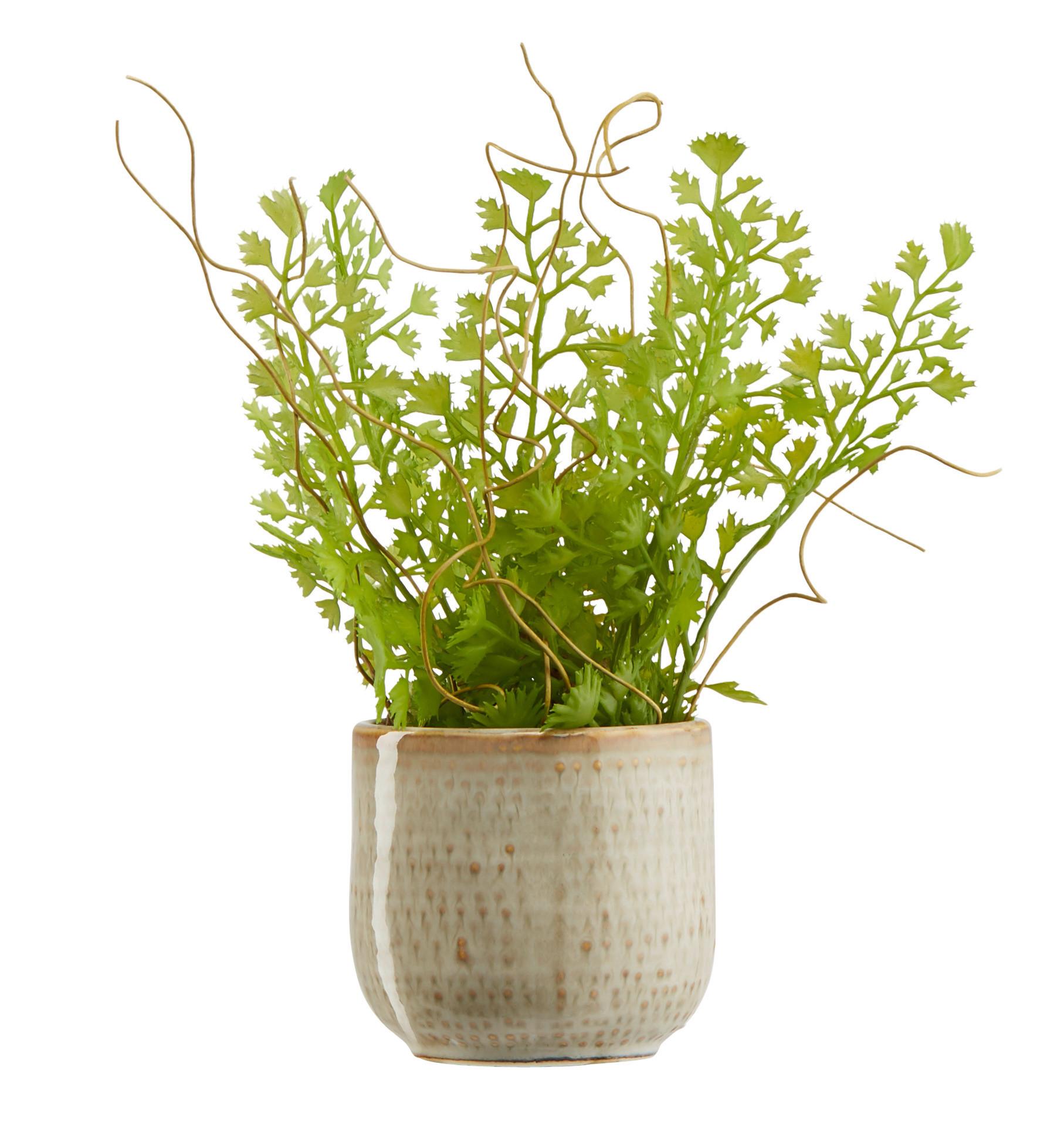 Übertopf Mood in Beige Ø 6,5cm - Beige, Keramik (6,5/6,5cm) - Modern Living