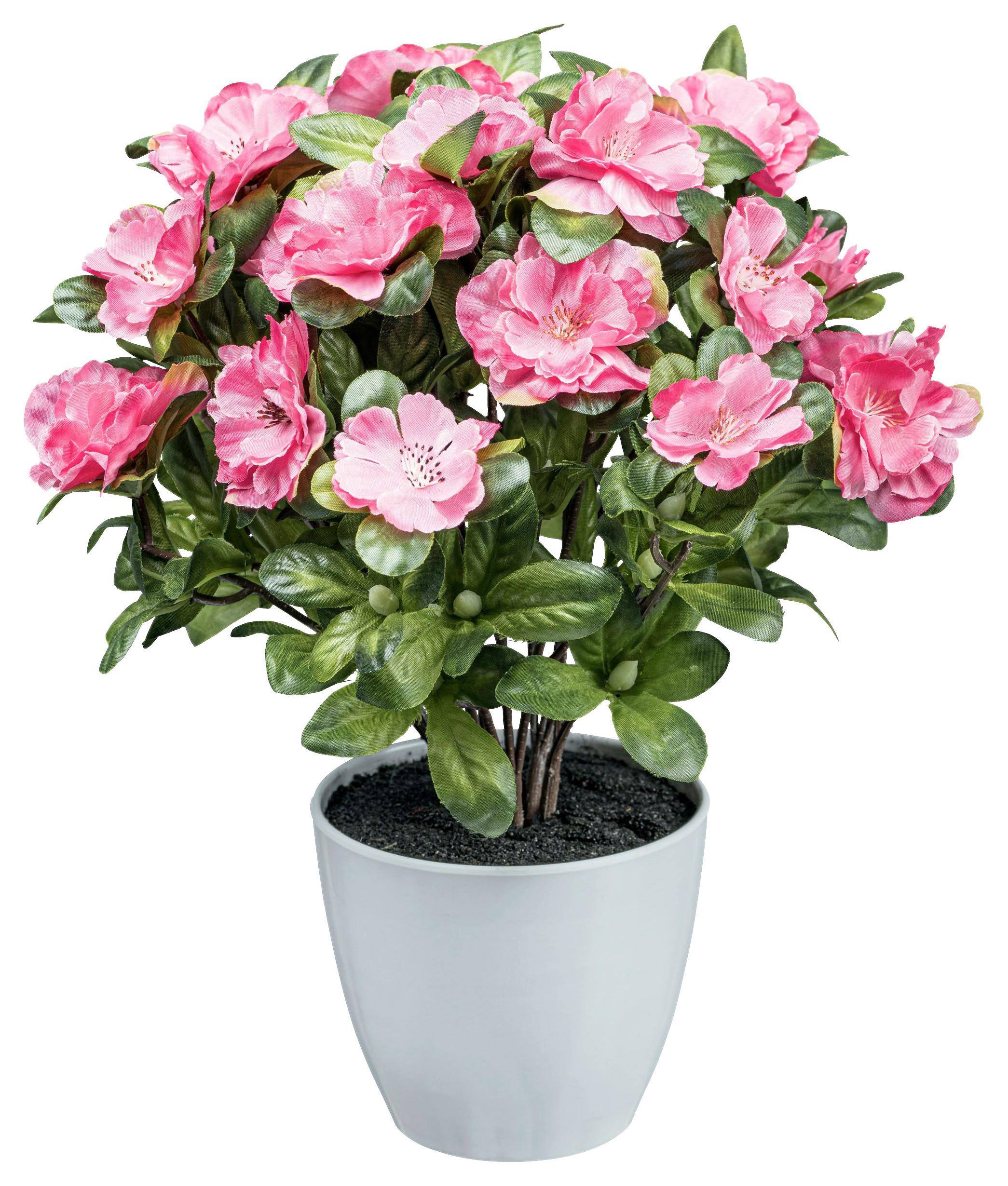 Kunstpflanze Blühpflanzen Dunkelrosa/Grün - Dunkelrosa/Weiß, Design, Kunststoff (32cm)