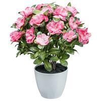 Kunstpflanze Blühpflanzen Dunkelrosa/Grün - Dunkelrosa/Weiß, Design, Kunststoff (32cm)