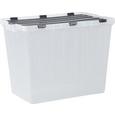 Škatla S Pokrovom Flip - prosojna, umetna masa (58/41/37cm) - Mömax modern living Škatla S Pokrovom Flip - prosojna, umetna masa (58/41/37cm) - Mömax modern living