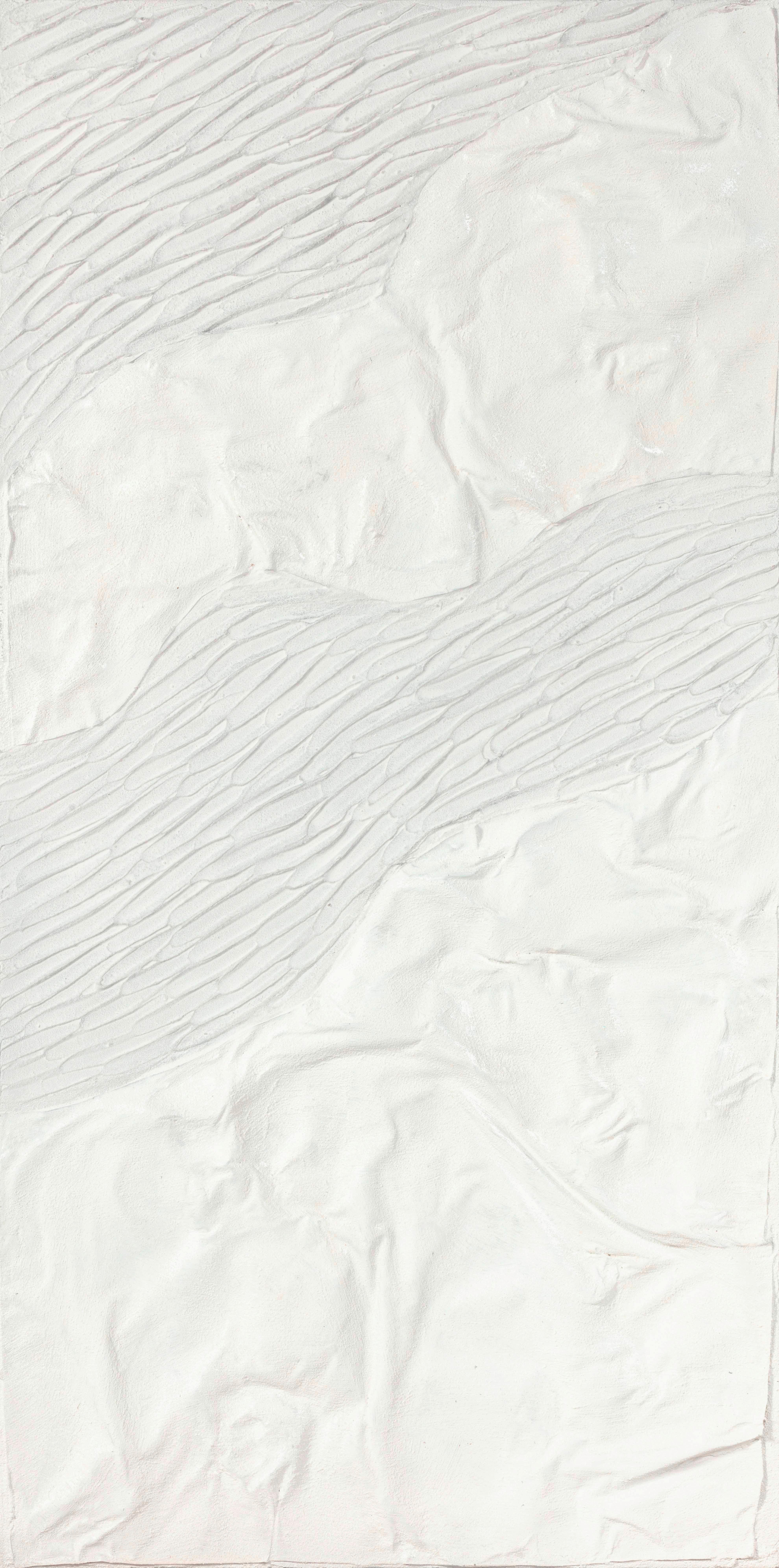 OBRAZ OLEJNY H1HCA211556A - biały/szary, Basics, tworzywo sztuczne/drewno (60/120cm) - Monee